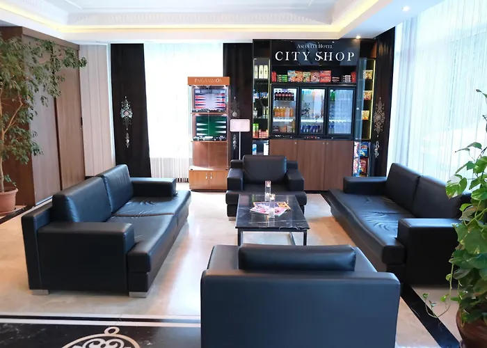 Hotel Asia City Hotel Istanbul 3*
