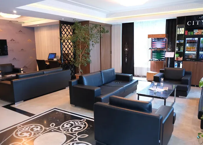 Asia City Hotel Istanbul 3*