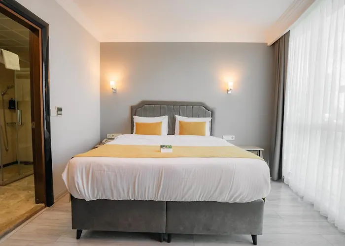 Asia City Hotel Istanbul Hotel Stambuł