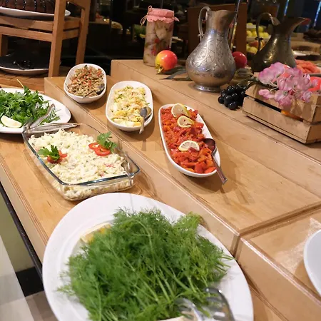 Asia City Hotel Istanbul 3* Istanbul